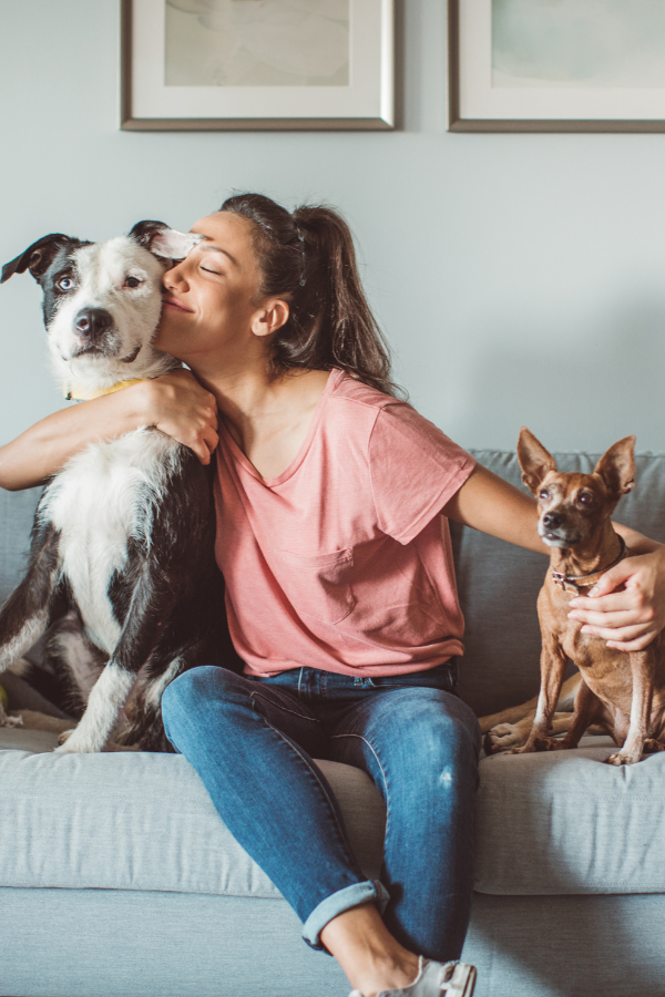 pet Friendly Housing